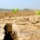 Image for article titled NASA Warns That This Century Could See Crippling Megadroughts